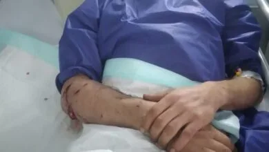 یک قلاده پلنگ به دامدار لنگرودی آسیب رساند یک قلاده پلنگ به دامدار لنگرودی آسیب رساند