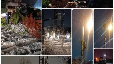 پایگاه اطلاع رسانی ایران