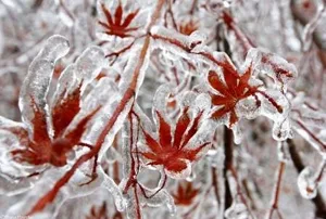 پایگاه اطلاع رسانی ایران