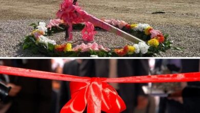 ۱۹ پروژه عمران شهری در عسلویه افتتاح یا آغاز می‌شود