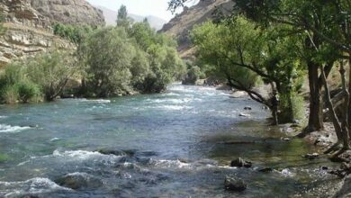 جذب ۱۱ میلیون مترمکعب آب به سفره‌های آب زیرزمینی از طریق تغذیه مصنوعی