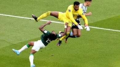 4339387.jpg
