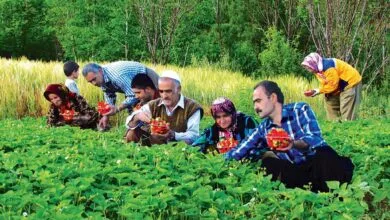 پایگاه اطلاع رسانی ایران