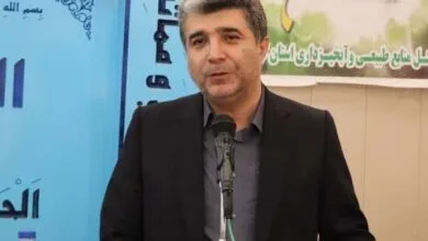 انهدام باند خانوادگی قاچاق چوب در گیلان / ۳ محیط‌بان آسیب دیدند