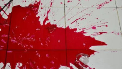 قتل فجیع همسر با ۲۲ ضربه چاقو + تصویر جسد و صحنه جنایت قتل فجیع همسر با ۲۲ ضربه چاقو + تصویر جسد و صحنه جنایت