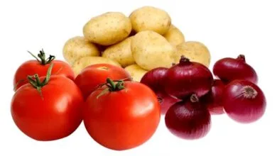 پایگاه اطلاع رسانی ایران