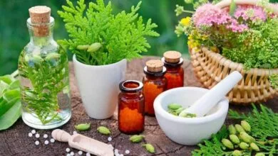 پایگاه اطلاع رسانی ایران