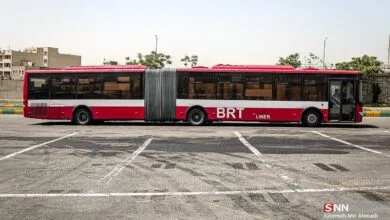 5003475.jpg