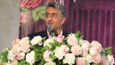 نوبانی: بندرعباس به شادترین شهر ایران تبدیل خواهد شد