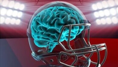 کلید جوان‌ ماندن مغز در میانسالی