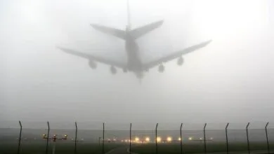 5119446.jpg