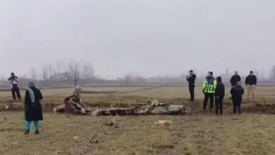 5125872.jpg