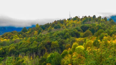 پایگاه اطلاع رسانی ایران