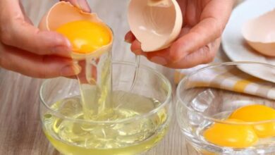 سفیده یا تخم مرغ کامل ؛ کدامیک بیشتر پروتئین دارد؟ سفیده یا تخم مرغ کامل ؛ کدامیک بیشتر پروتئین دارد؟