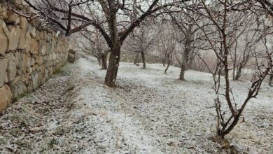 تصاویری از بارش زیبای برف در نیشابور | ویدئو