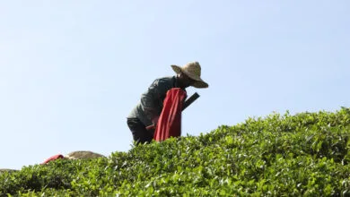 پایگاه اطلاع رسانی ایران