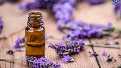 پایگاه اطلاع رسانی ایران