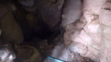 مرگ؛ پایان تلخ ماجراجوی گنج در کردستان + ویدئو