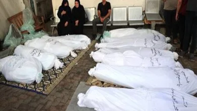 شهادت بیش از ۴۰ فلسطینی در شهر غزه از صبح امروز تاکنون شهادت بیش از ۴۰ فلسطینی در شهر غزه از صبح امروز تاکنون