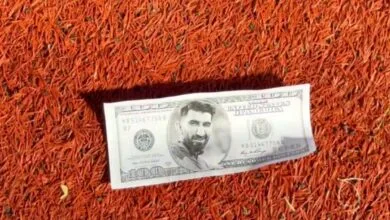 پایگاه اطلاع رسانی ایران