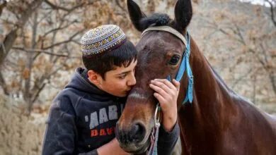 پایگاه اطلاع رسانی ایران