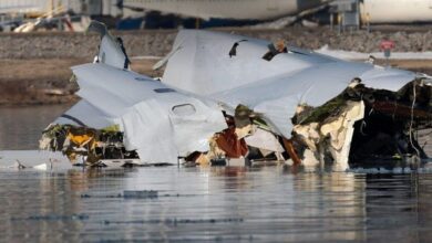 جعبه‌های سیاه هواپیمای سقوط کرده پیدا شدند