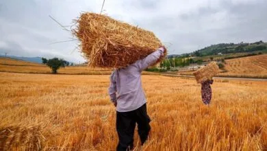 پایگاه اطلاع رسانی ایران