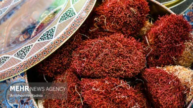 پایگاه اطلاع رسانی ایران