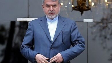 صالحیامیری: ۲۵ اختیار از طرف وزارت میراث فرهنگی را به استانها تفویض کردیم صالحیامیری: ۲۵ اختیار از طرف وزارت میراث فرهنگی را به استانها تفویض کردیم