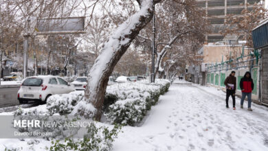 هواشناسی خراسان رضوی در پی بارش برف و وزش باد شدید هشدار صادر کرد
