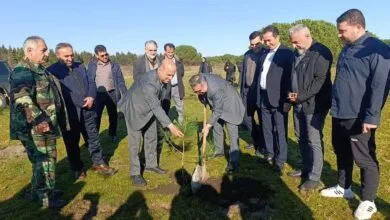 ۶۳ نهال به نیت عمر پر برکت شهید سلیمانی در آستارا غرس شد ۶۳ نهال به نیت عمر پر برکت شهید سلیمانی در آستارا غرس شد