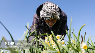پایگاه اطلاع رسانی ایران
