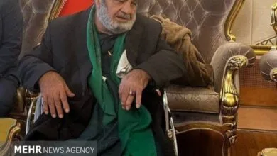 بازگشت شهروند شجاع ایرانی به کشور بازگشت شهروند شجاع ایرانی به کشور