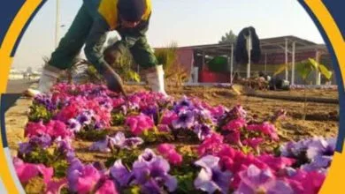 پایگاه اطلاع رسانی ایران
