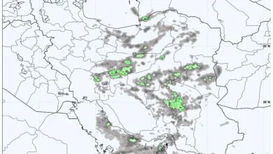 5332180.jpg