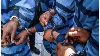 ۵ سارق در طرح ارتقا امنیت اجتماعی دامغان دستگیر شدند