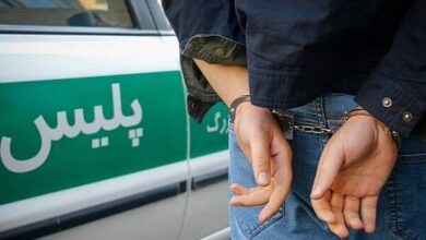 باند سارقان سیم برق در «دشتستان» منهدم شد