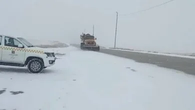 بارش برف در گواور از توابع شهرستان گیلانغرب