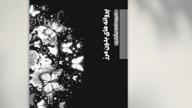 رویداد بین‌المللی «پروانه‌های بدون مرز» برگزار می‌شود