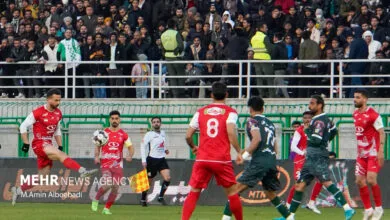 پیشکسوت پرسپولیس: ماندن کریم باقری از حضور سرمربی خارجی مفیدتر بود