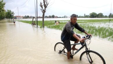۱۶ کشته و ۱۰ زخمی در پی سیل ناگهانی در جاوه مرکزی اندونزی ۱۶ کشته و ۱۰ زخمی در پی سیل ناگهانی در جاوه مرکزی اندونزی