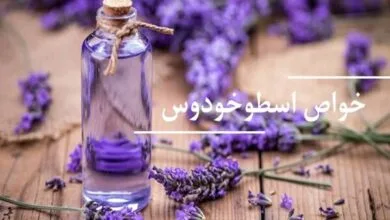 پایگاه اطلاع رسانی ایران