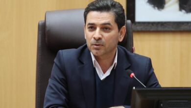 همکاری دولت و حاکمیت بستر مناسب برای بهینه سازی مصرف انرژی است