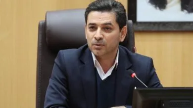 همکاری دولت و حاکمیت بستر مناسب برای بهینه سازی مصرف انرژی است