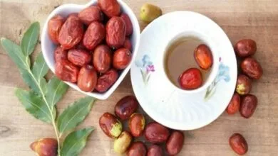 پایگاه اطلاع رسانی ایران