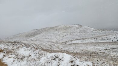 بارش برف در ارتفاعات ساری