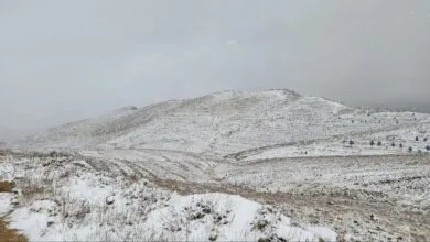 پایگاه اطلاع رسانی ایران