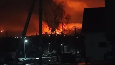 5353812.jpg