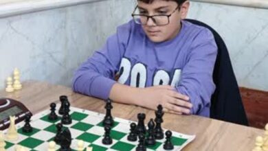 مسابقات کشوری شطرنج در «گناوه» برگزار شد