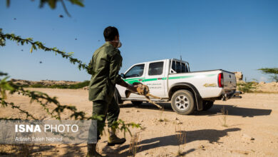 فرسودگی نیمی از خودروهای یگان حفاظت محیط زیست/ لباس محیط‌بانان دوربین‌دار می‌شود